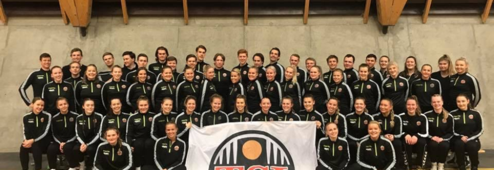 TSI Håndball